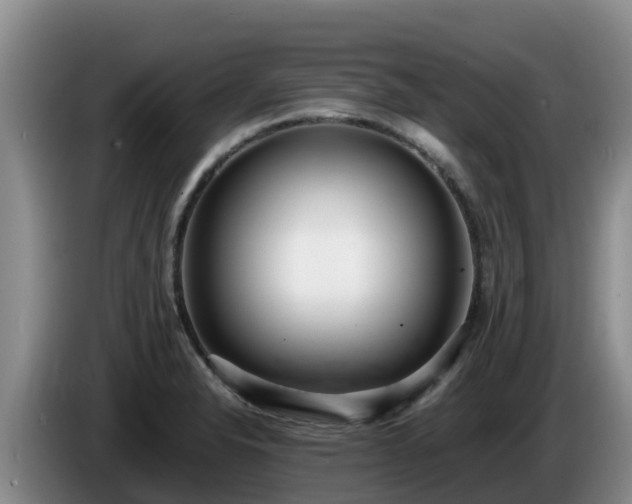 X0000086241326200704051210