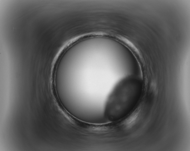 X0000086241327200704051210