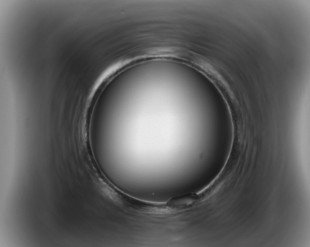 X0000086241328200704051210