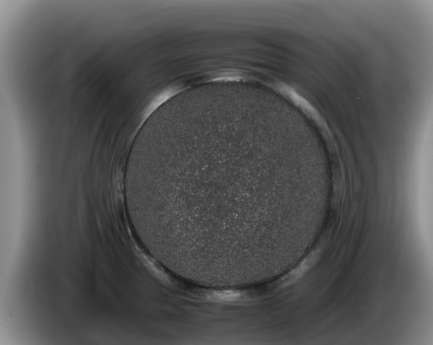 X0000086241329200704051210