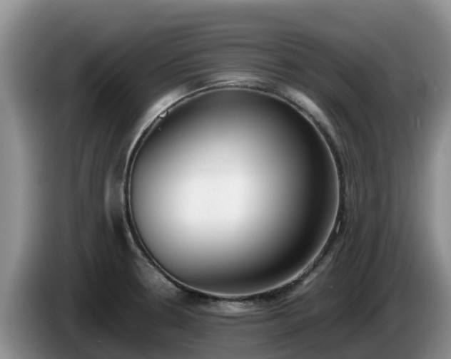 X0000086241330200704051210