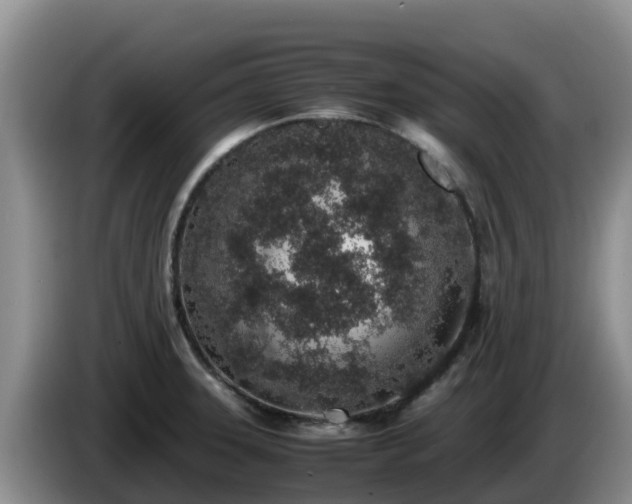X0000086241331200704051210