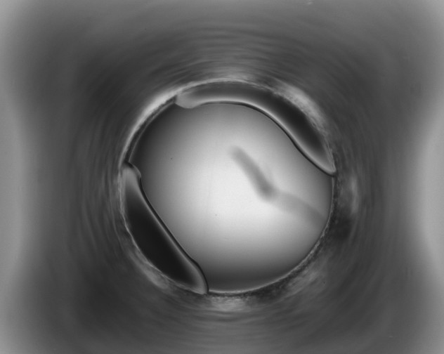 X0000086241332200704051210