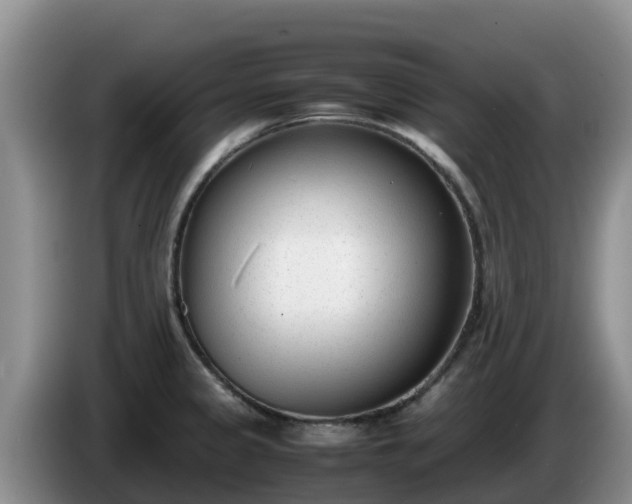X0000086241333200704051210