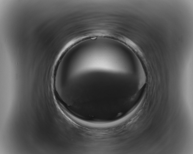 X0000086241334200704051210