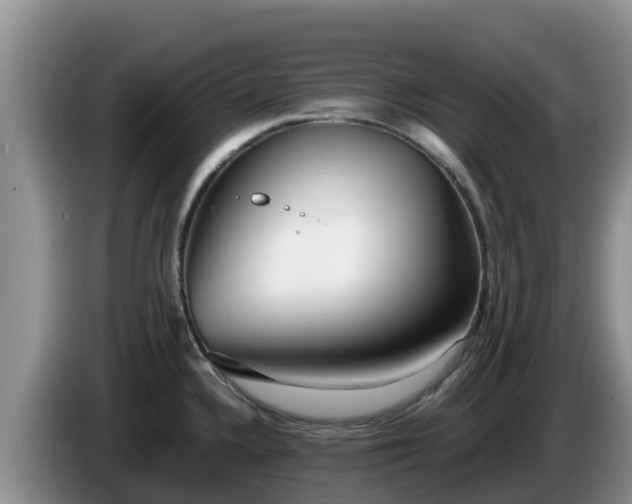 X0000086241336200704051210