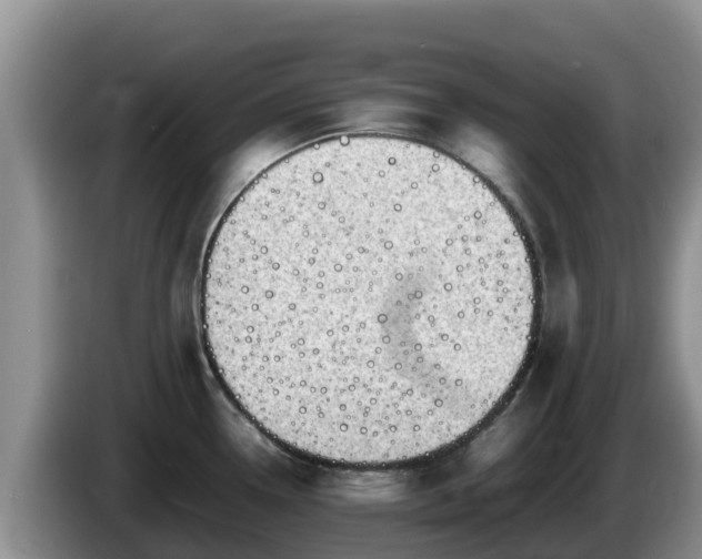 X0000086241338200704051210
