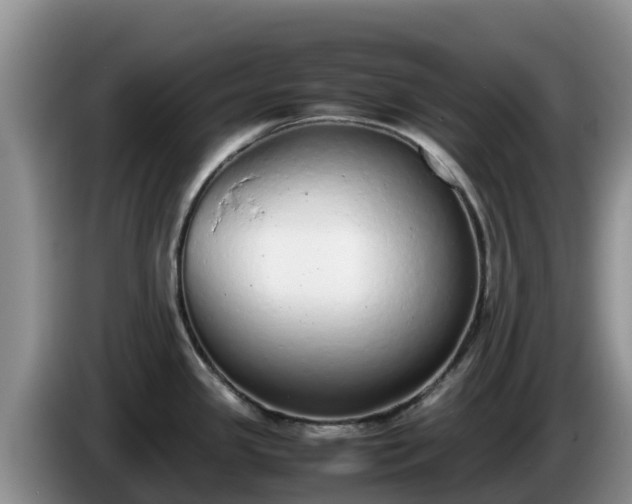 X0000086241341200704051210