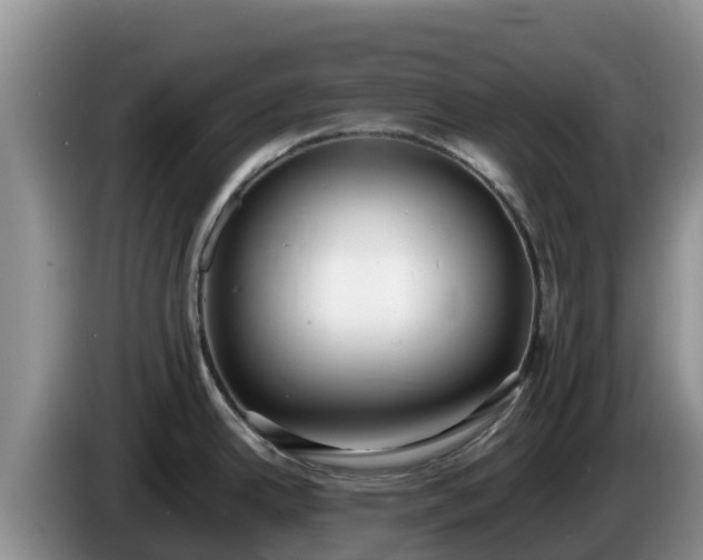 X0000086241342200704051210
