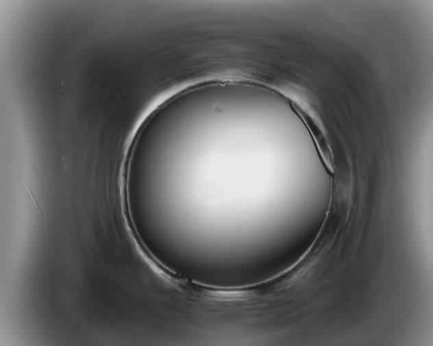 X0000086241343200704051210