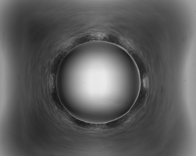 X0000086241347200704051210