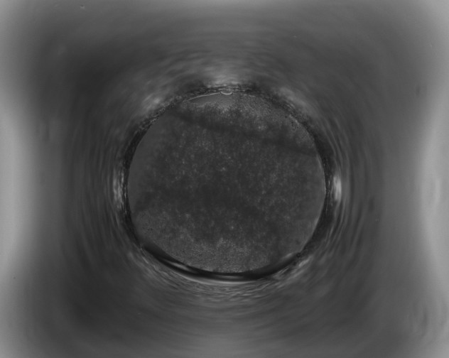 X0000086241348200704051210