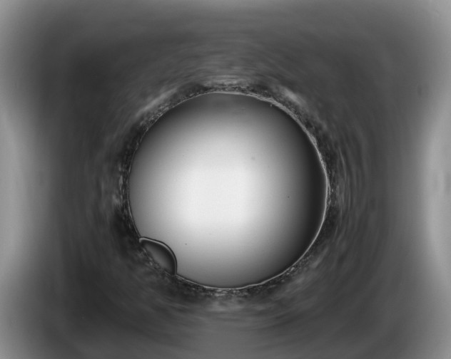 X0000086241350200704051210