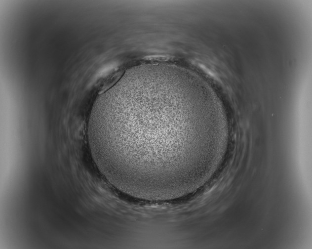 X0000086241351200704051210