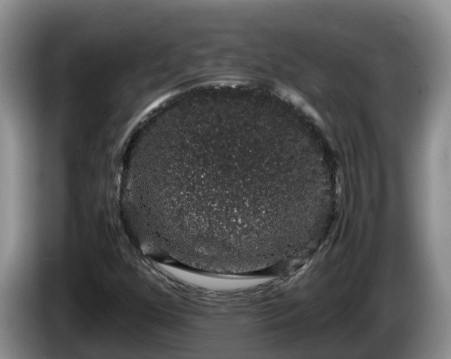 X0000086241352200704051210