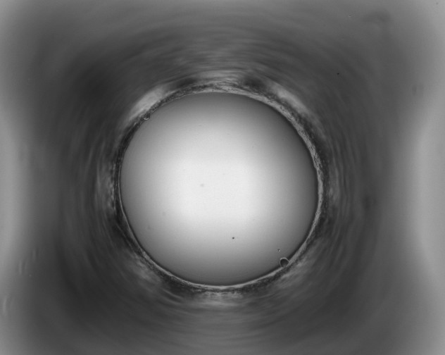 X0000086241354200704051210