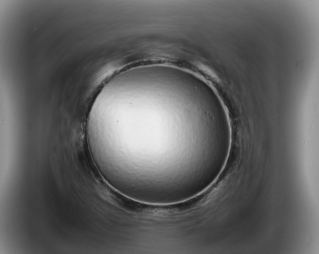 X0000086241355200704051210