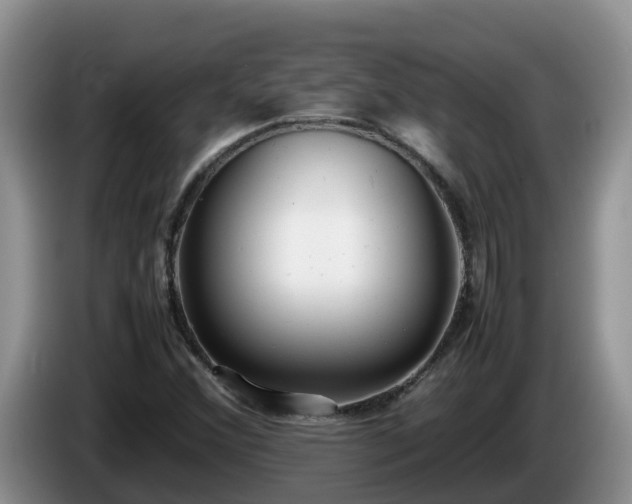 X0000086241356200704051210