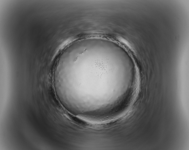 X0000086241357200704051210
