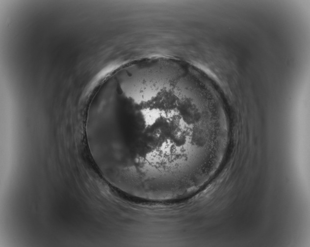 X0000086241359200704051210