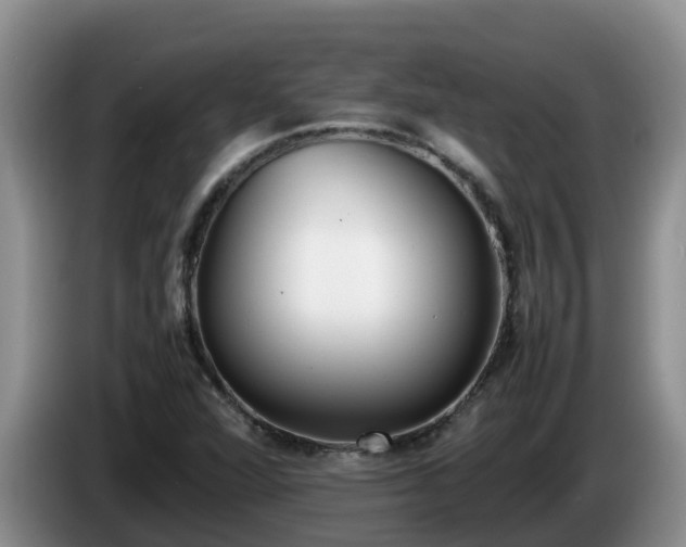 X0000086241360200704051210