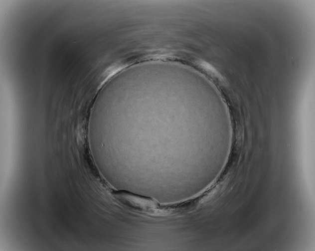 X0000086241361200704051210