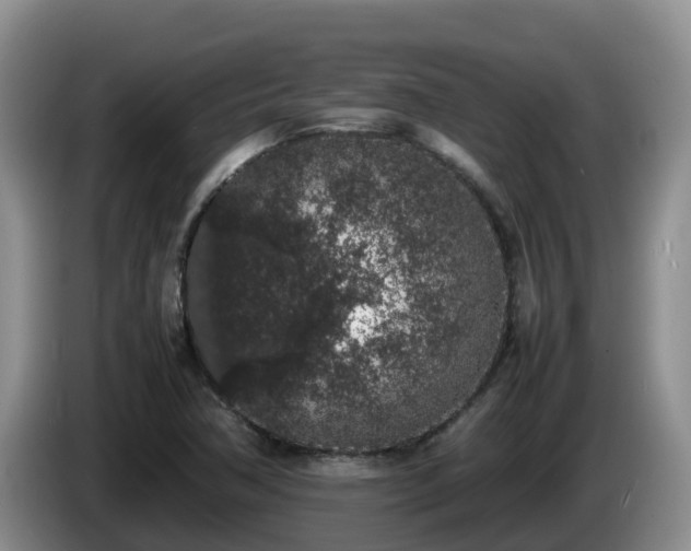 X0000086241362200704051210