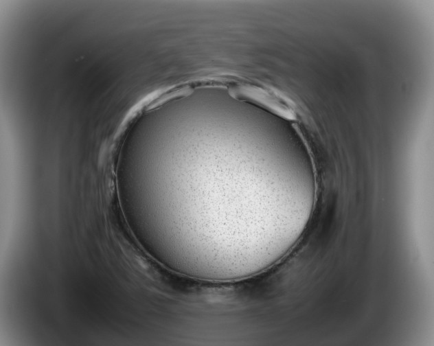 X0000086241363200704051210