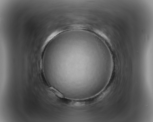 X0000086241365200704051209