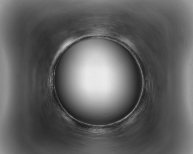 X0000086241366200704051209