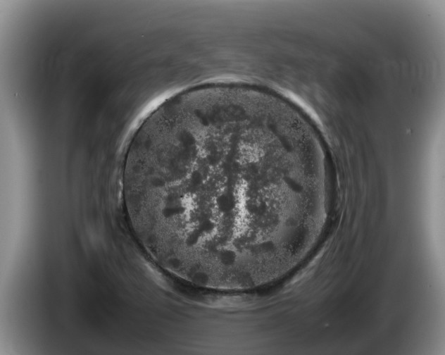 X0000086241367200704051209