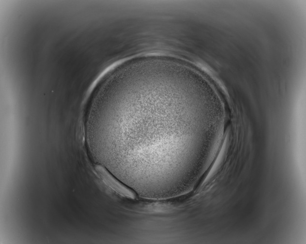 X0000086241368200704051209