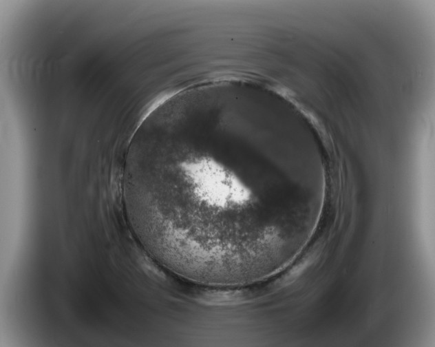 X0000086241369200704051209