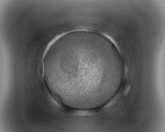 X0000086241371200704051209