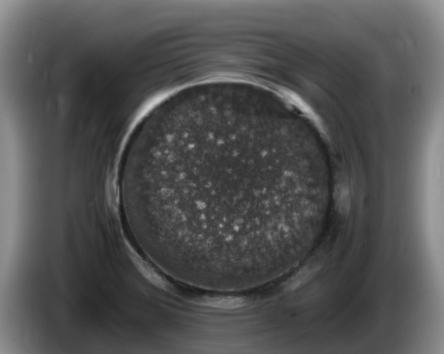 X0000086241372200704051209