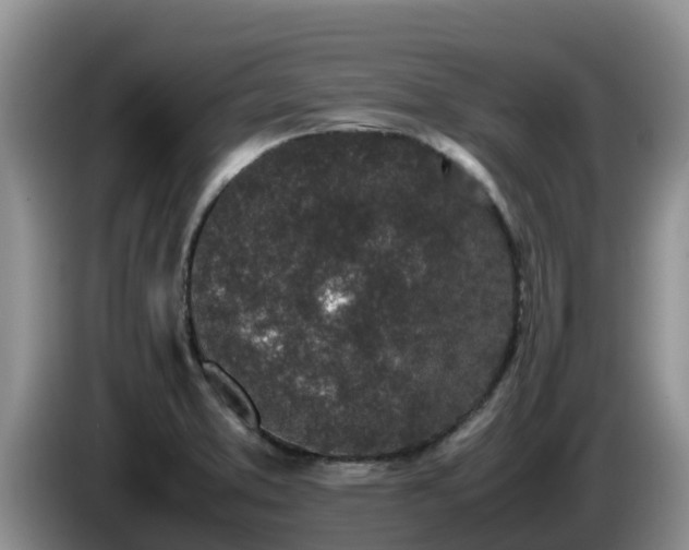 X0000086241373200704051209
