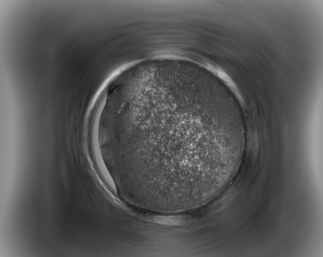 X0000086241376200704051209