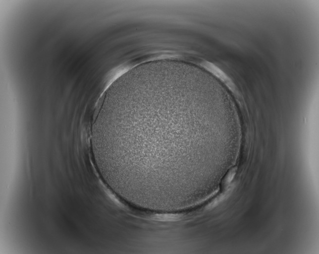 X0000086241377200704051209