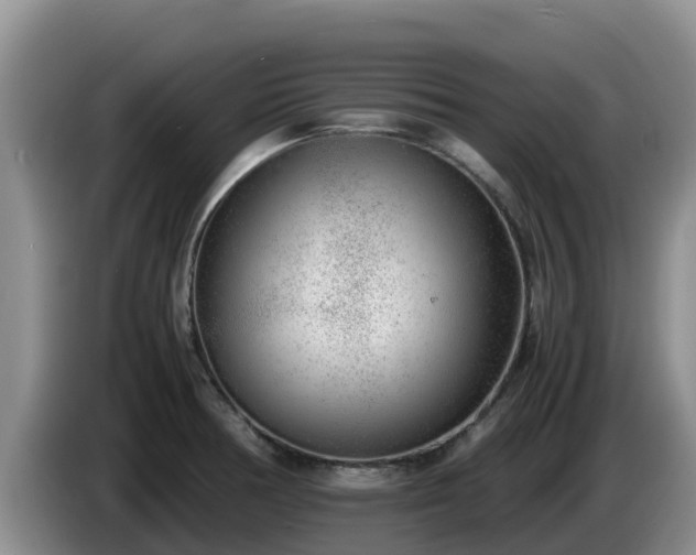 X0000086241378200704051209