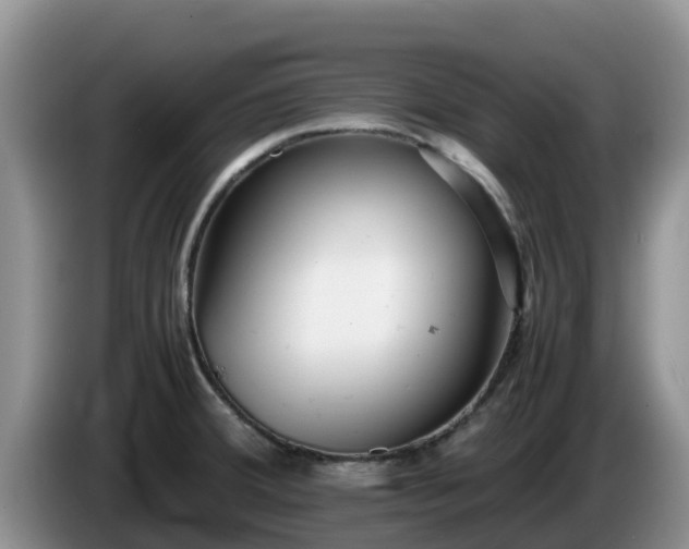X0000086241380200704051209
