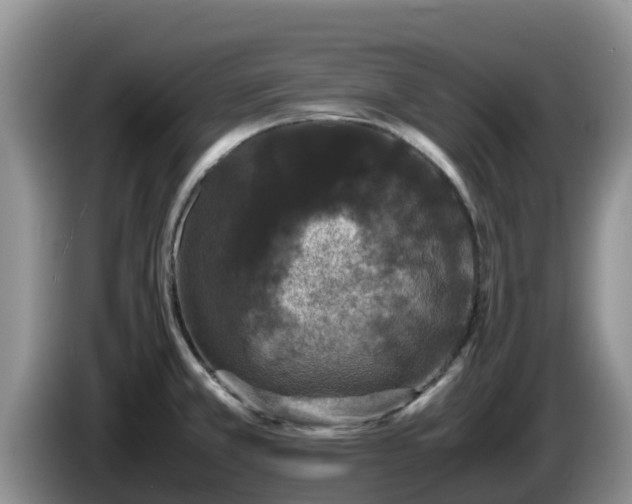 X0000086241381200704051209