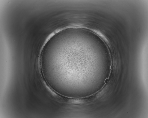 X0000086241382200704051209