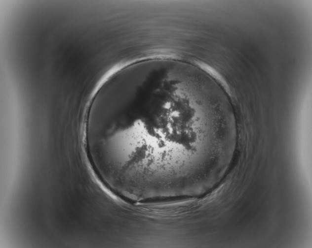 X0000086241383200704051209