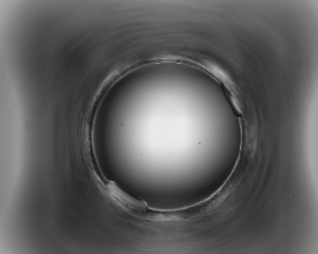 X0000086241384200704051209