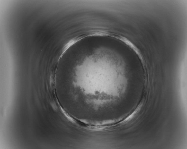 X0000086241385200704051209