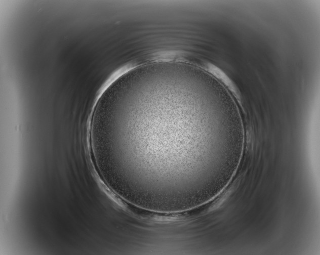 X0000086241386200704051209