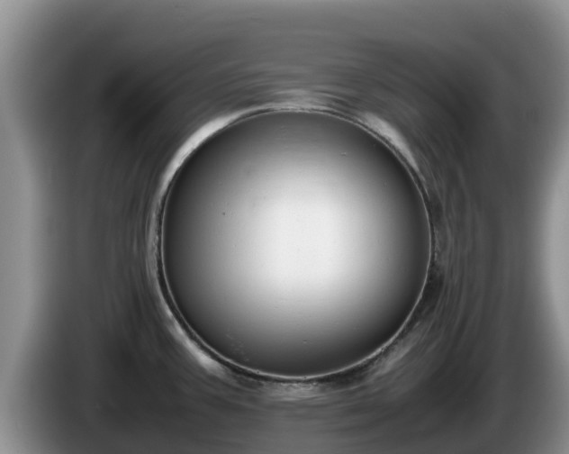 X0000086241387200704051209