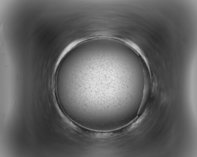 X0000086241389200704051209
