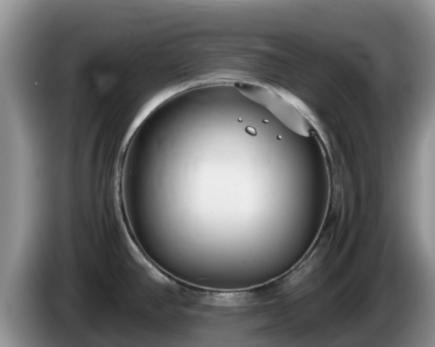 X0000086241390200704051209
