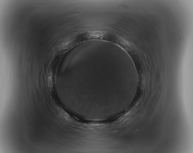 X0000086241394200704051208
